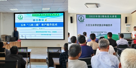 田間課堂解疑釋惑 科技賦能綠色增糧